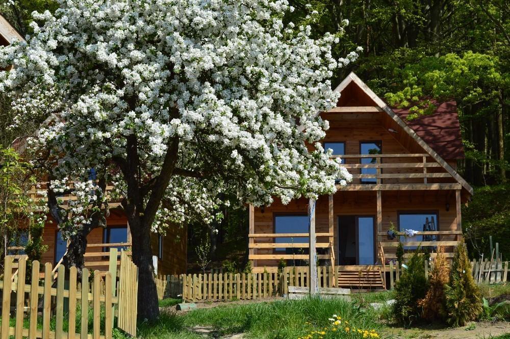 Osrodek Wczasowy Zloty Dab - Domki Otel Miedzyzdroje Dış mekan fotoğraf
